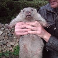 Tristan Epstein's Photo