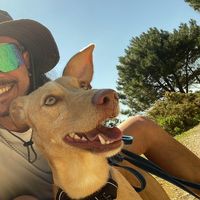 Fede Roveda的照片