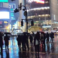 Zdjęcia użytkownika Kirsty Y