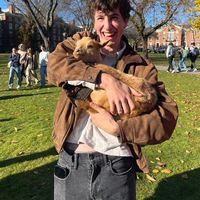 Photos de Jeffrey Pogue