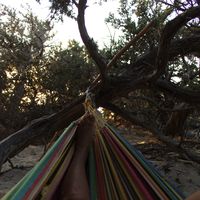 Anna Katerelou's Photo