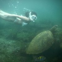 Elizabeth Santilli的照片