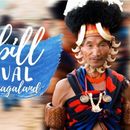 Hornbill Festival Nagaland 's picture