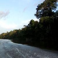 Bernardo Vargas's Photo