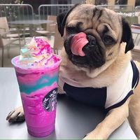 Le foto di Kate Vorontsova