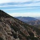 Taste of Pacific Crest Trail's picture