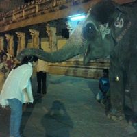 Shivani Singh的照片