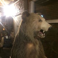 Renpei Mizuno的照片