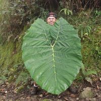 Michael A Thomas's Photo