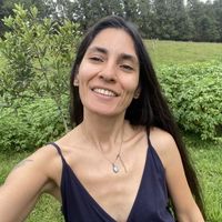 Nurcan Gursoy的照片