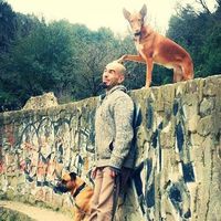 David Martin的照片