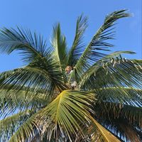 Guillaume Pauwels's Photo