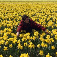 William Martins's Photo