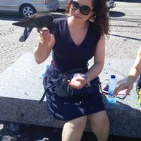 Noushin Abolhassani's Photo