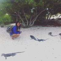 Karem Ramirez的照片