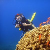 Fotos von Charlotte Launoy