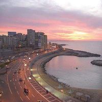 Abdalrahman  Elgendy's Photo