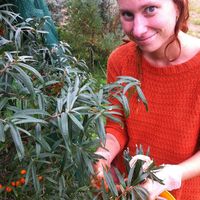 Le foto di Nina Rosten