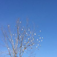 Senshang Yang的照片