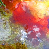 Jildou Laan的照片