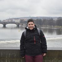 Alexandros Chasapis的照片