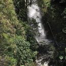 Caminata a la catarata en El Tirol 's picture