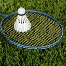 Badminton Catchup's picture