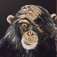 Adam Skinner的照片