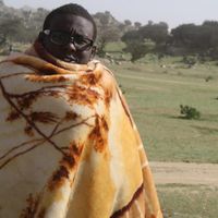 Ahmed Ahmed的照片