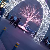 Laid Boukedjar's Photo