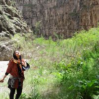 Zohre kowsari's Photo