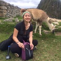 Nicole Zhang's Photo