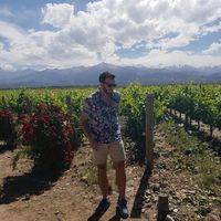 Federico Mariscal的照片