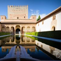 Mahmoud Sherif's Photo