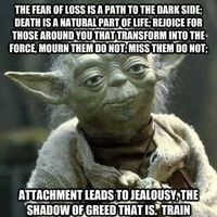 Фотографии пользователя Ellen  K