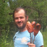 Alexey Ananyev的照片