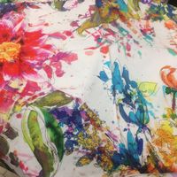 carlos coutiño的照片