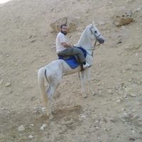 Mostafa Alfoly's Photo