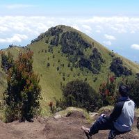 Photos de Didi Suhardi