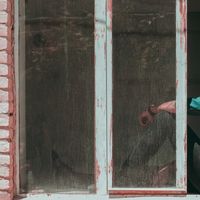 shaahin farajpour的照片