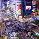 Shinjuku Dinner's picture
