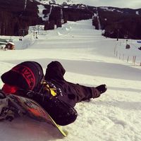 Dan Tomelty的照片