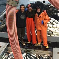 Corey Kinsman的照片