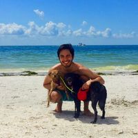 Rodrigo  Borjas's Photo