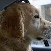 Giovanni Bini's Photo