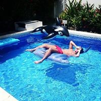 David Castellanos's Photo