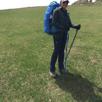 hamideh ara的照片