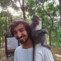 Antonio D'Alessio's Photo