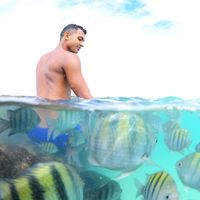 Fotos de Nathan Martin