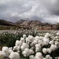 Rebekah Mueller's Photo